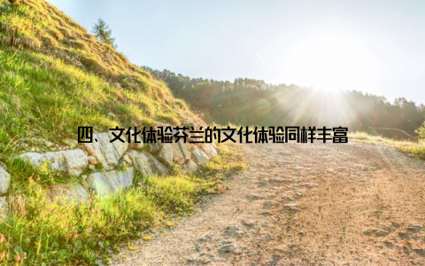 四、文化体验芬兰的文化体验同样丰富