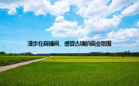 漫步在商铺间, 感受古镇的商业氛围