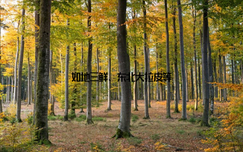 如地三鲜、东北大拉皮等