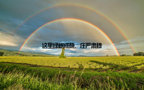 这里绿树成荫, 庄严肃穆