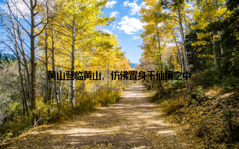 黄山登临黄山, 仿佛置身于仙境之中